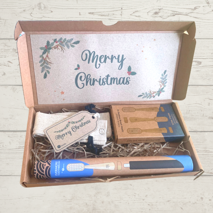 Wisesip Reusable Toothbrush Christmas Gift Set