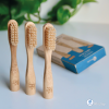 Evermore Toothbrush Replaceable Heads