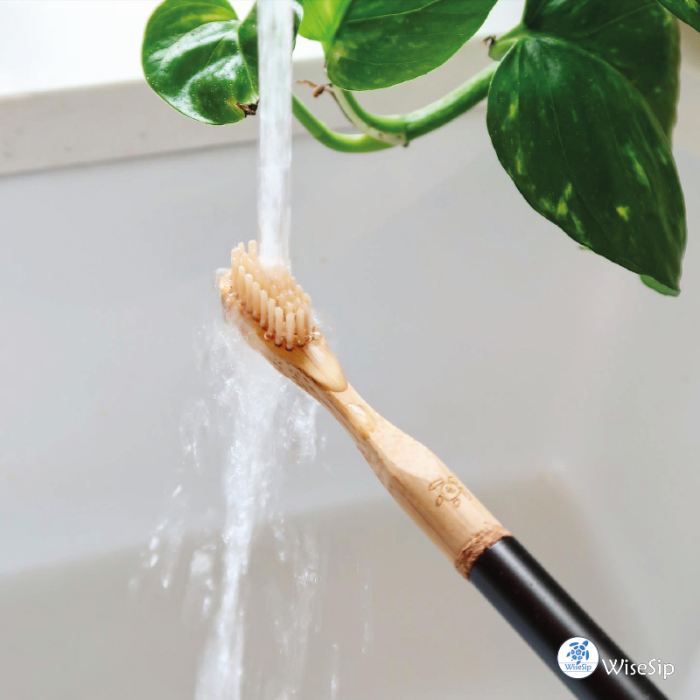 Evermore Toothbrush by Wisesip